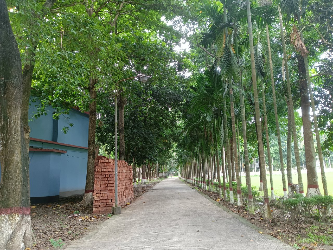 Academic Building