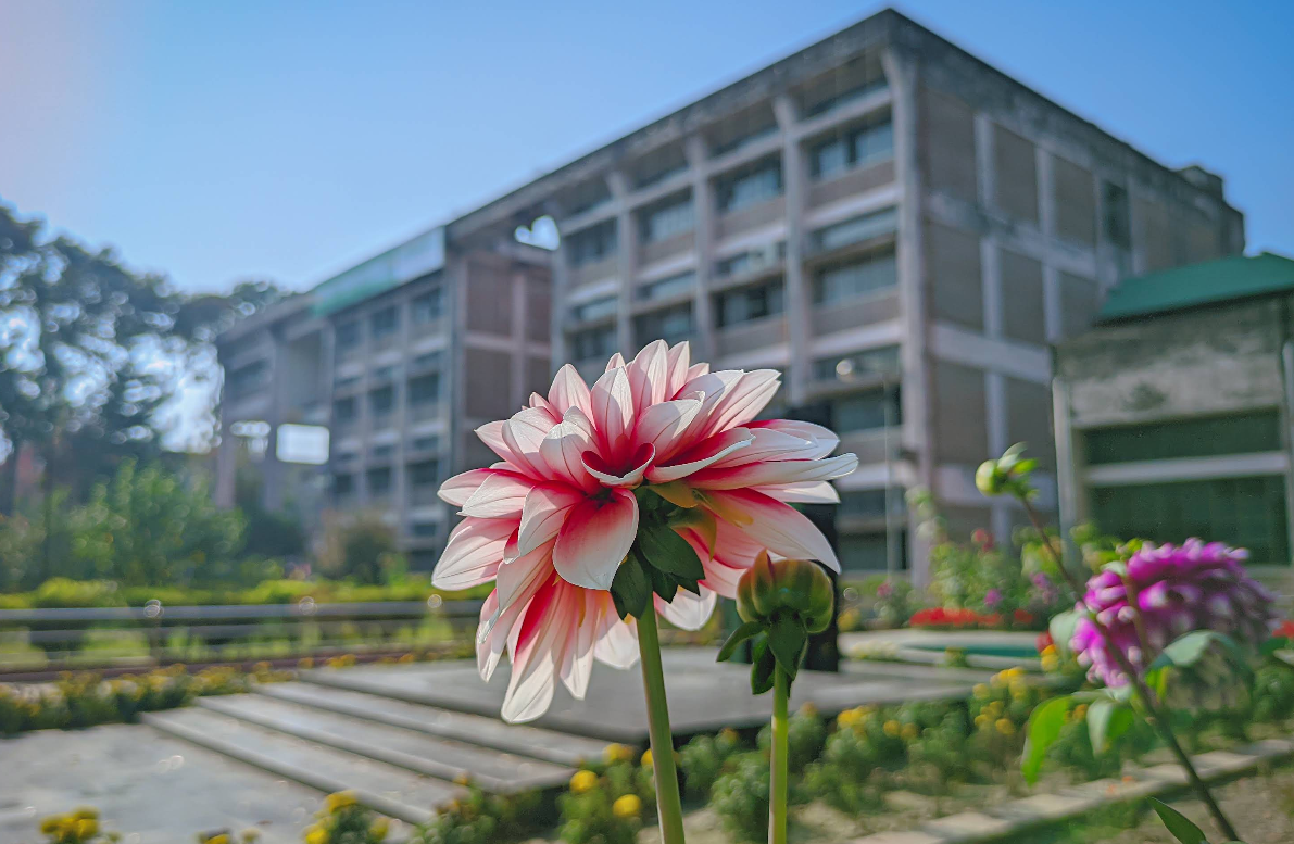 Campus Garden
